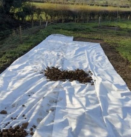 Ground preparation on site